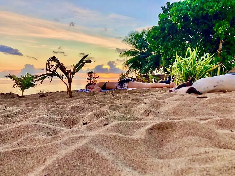 Fare Oaoa Haapiti Sur La Plage, Les Pieds Dans Le Sable 0*,  프랑스령 폴리네시아